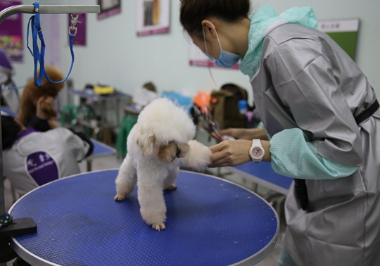 1548061023136608.jpg IMG_5053.JPG