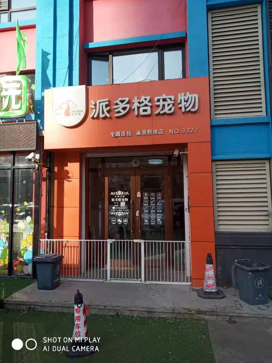 派多格宠物连锁店